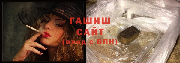 индика Надым