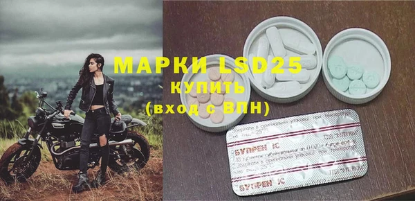 индика Надым