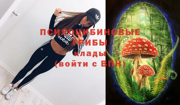 индика Надым