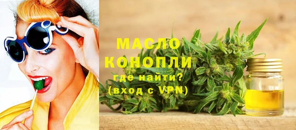 индика Надым