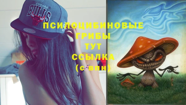 ешки Вязники