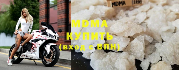 индика Надым