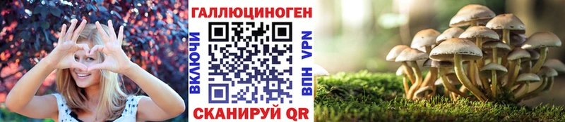 Галлюциногенные грибы прущие грибы  Мамадыш 